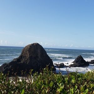 Meet your Posher, Jane